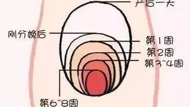 微信图片_20220301151321.jpg