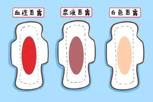 微信图片_20220301151326.jpg